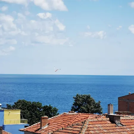 Diana Self Check-in Къща за гости 3*